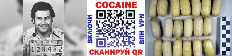 Cocaine Fish Scale  где продают наркотики  hydra рабочий сайт  Питкяранта 