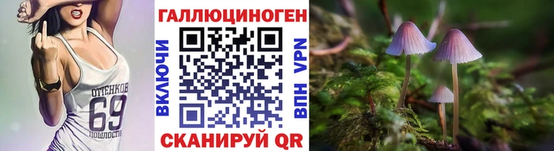 Псилоцибиновые грибы GOLDEN TEACHER  Питкяранта 